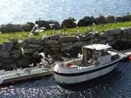 Norwegen 2008 Rundereim